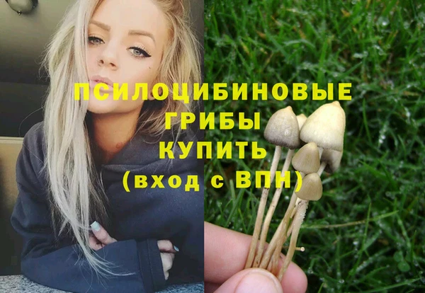 apvp Козельск