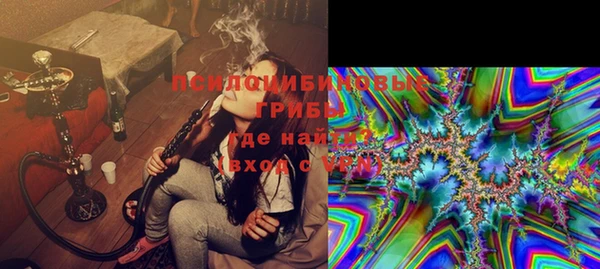 гашик Коряжма