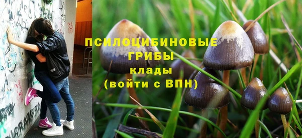 гашик Коряжма