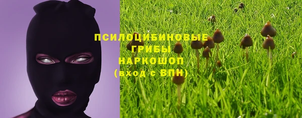 Альфа ПВП Кодинск