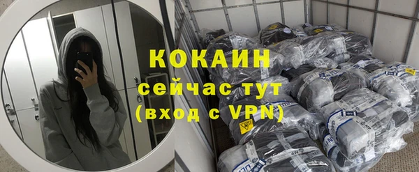 apvp Козельск
