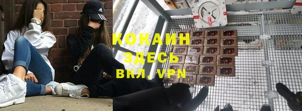 гашик Коряжма