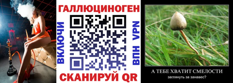 сколько стоит  Котлас  сайты даркнета состав  Псилоцибиновые грибы Magic Shrooms 